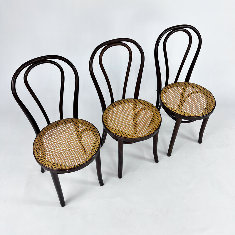 Chaises de café vintage en bois courbé et osier, 1970