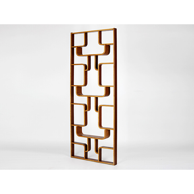 Vintage mahogany veneer room divider by Ludvik Volak for Drevopodnik Holesov, Czechoslovakia 1960