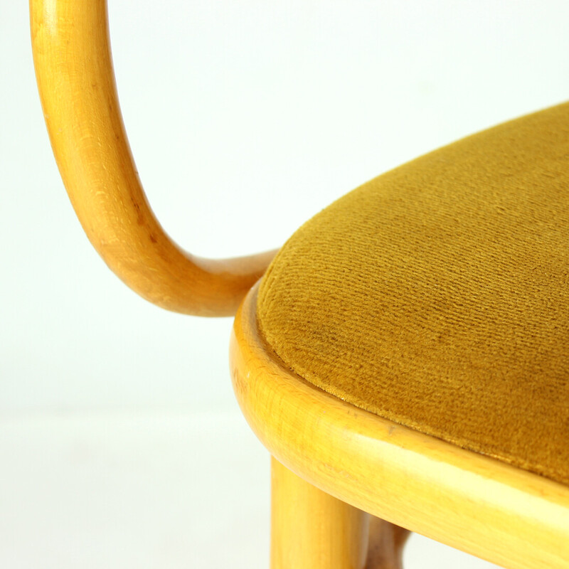 Vintage armchair in bentwood and gold velvet fabric for Ton, Czechoslovakia 1930