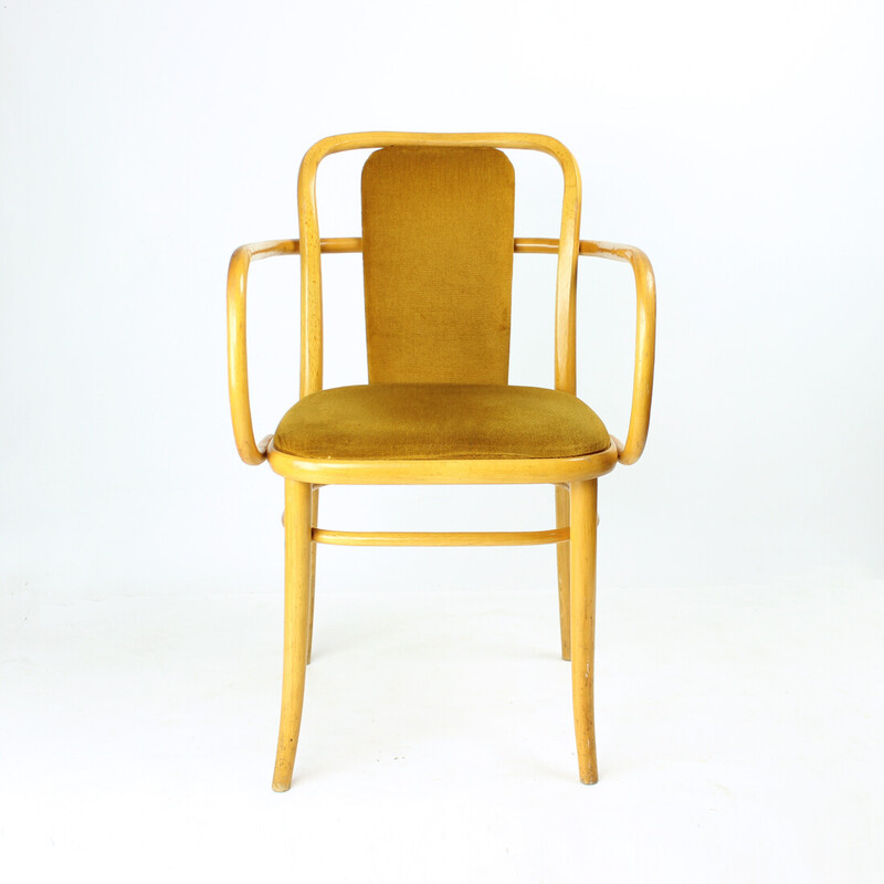 Fauteuil vintage en bois courbé et tissu velours doré pour Ton, Tchécoslovaquie 1930