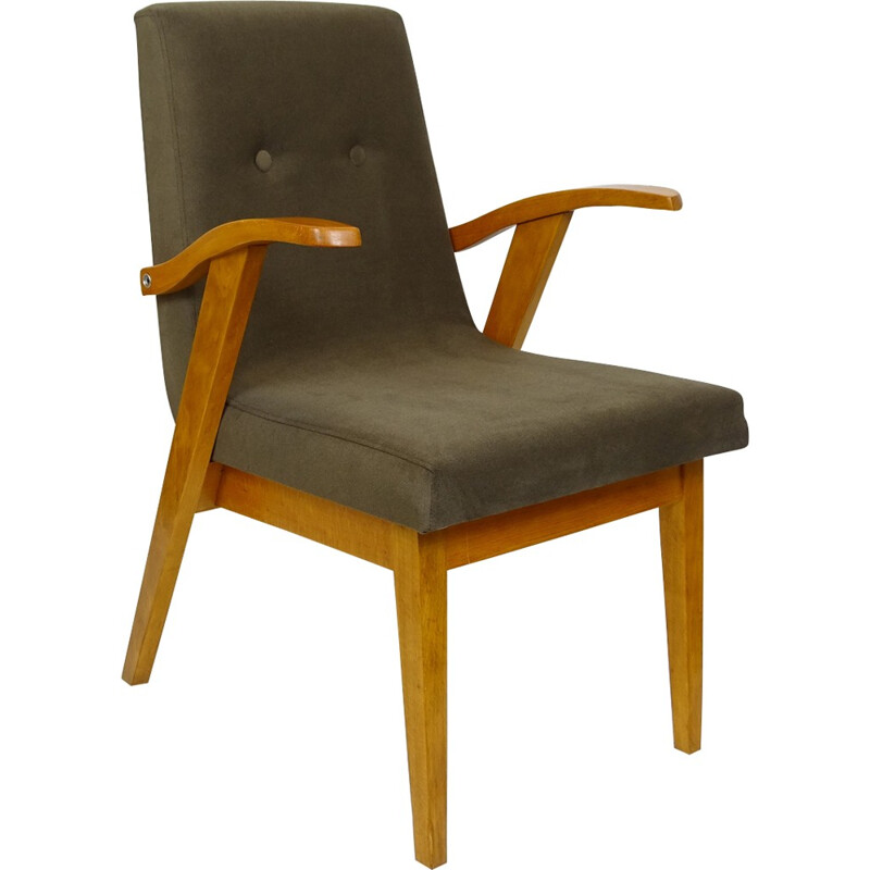 Vintage fauteuil van Mieczysław Puchała voor Bystrzyckie Zakłady Mebli - 1950