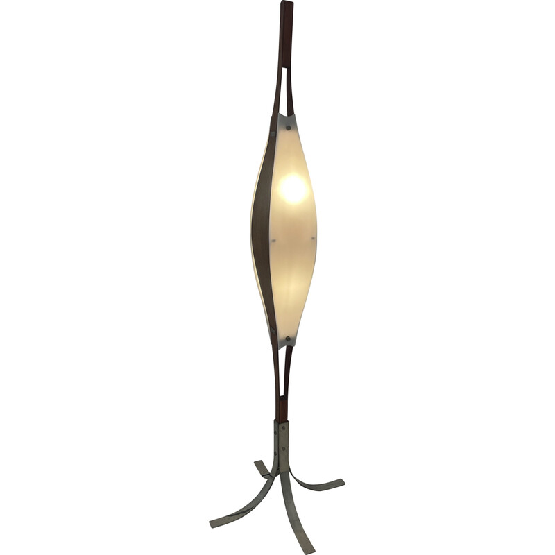 Vintage teak and acrylic floor lamp by Goffredo Reggiani, Italy 1960