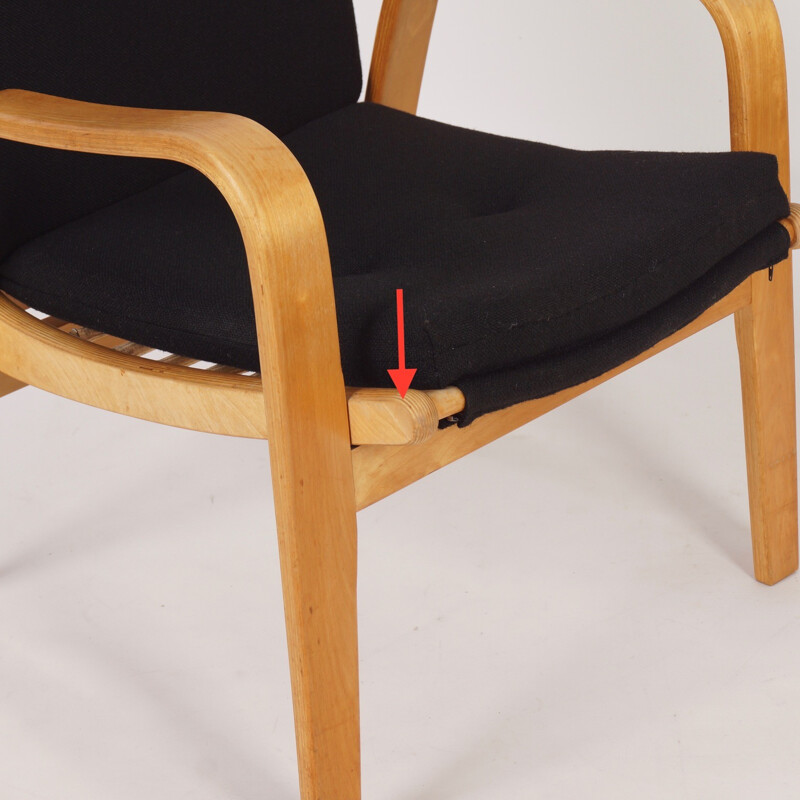 FB06 Easy Chair by Cees Braakman for Pastoe - 1950s