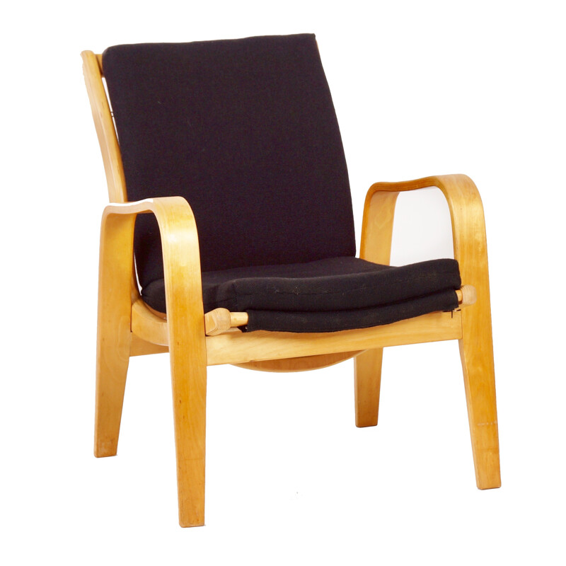 FB06 Easy Chair by Cees Braakman for Pastoe - 1950s