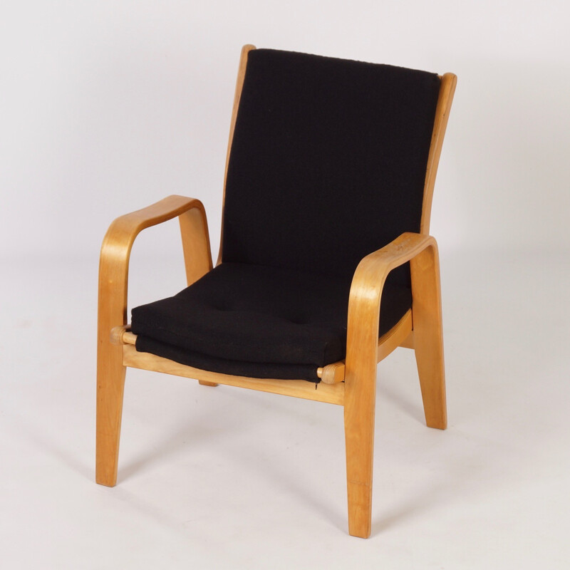 FB06 Easy Chair by Cees Braakman for Pastoe - 1950s