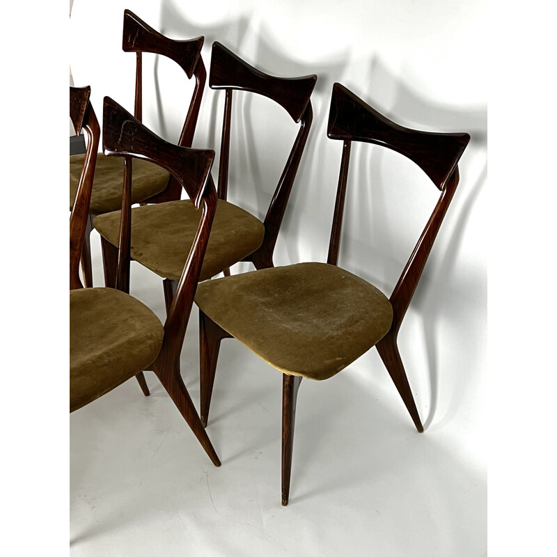 Set of 5 vintage Batterfly chairs by Ico Parisi for Ariberto Colombo, Italy 1950