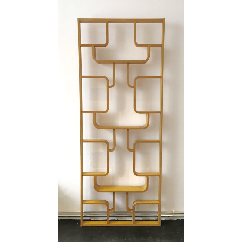 Room Divider by Ludvik Volak for Drevopodnik Holesov - 1960s