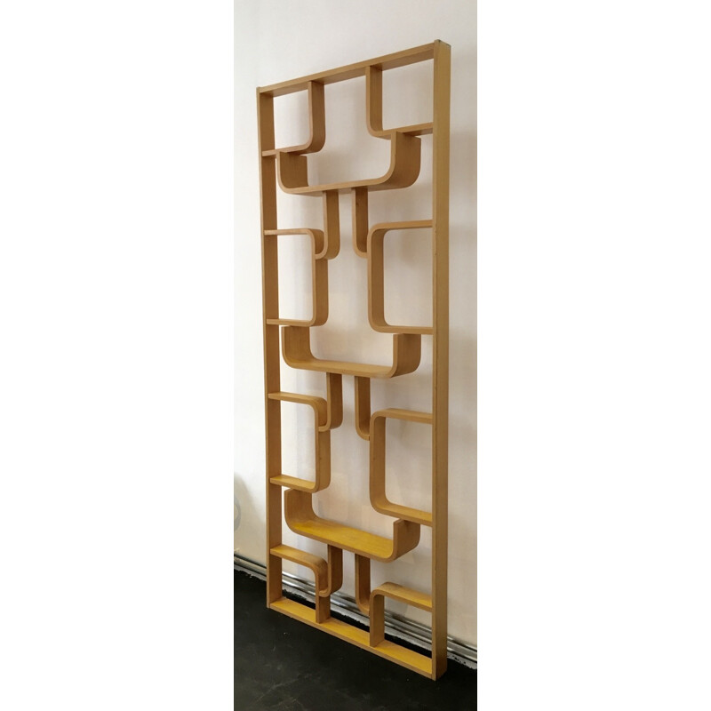 Room Divider by Ludvik Volak for Drevopodnik Holesov - 1960s