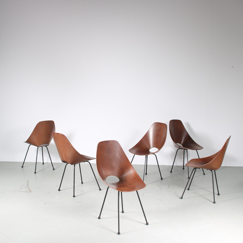 Lot de 6 chaises à repas vintage Medea en bois marron et métal noir par Vittorio Nobili pour Tagliabue, Italie 1950