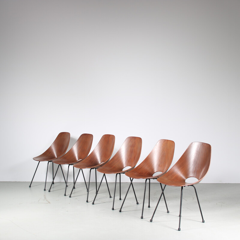 Lot de 6 chaises à repas vintage Medea en bois marron et métal noir par Vittorio Nobili pour Tagliabue, Italie 1950