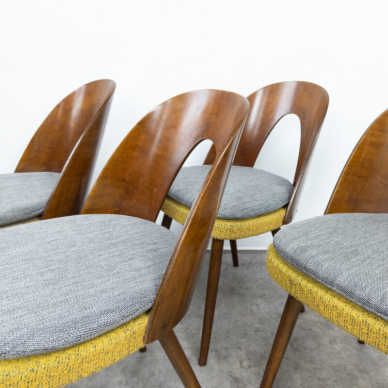 Set of four vintage dining chairs in beech wood and plywood by Antonín Šuman for Tatra, Czechoslovakia 1960