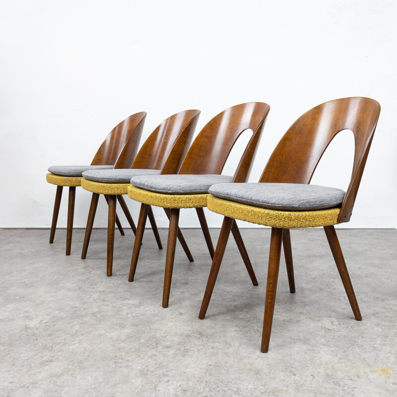 Par de cadeiras de jantar vintage em madeira de faia e contraplacado de Antonín Šuman para Tatra, Checoslováquia 1960