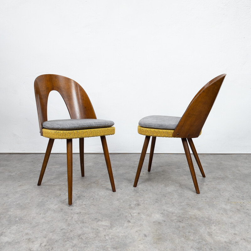 Set of four vintage dining chairs in beech wood and plywood by Antonín Šuman for Tatra, Czechoslovakia 1960