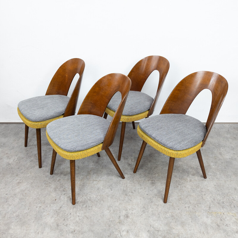Paire de chaises à repas vintage en bois de hêtre et contreplaqué par Antonín Šuman pour Tatra, Tchécoslovaquie 1960