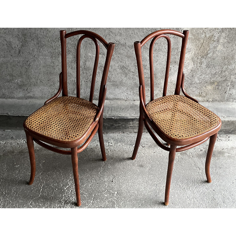 Paire de chaises bistrot vintage en cannage pour Thonet, 1920