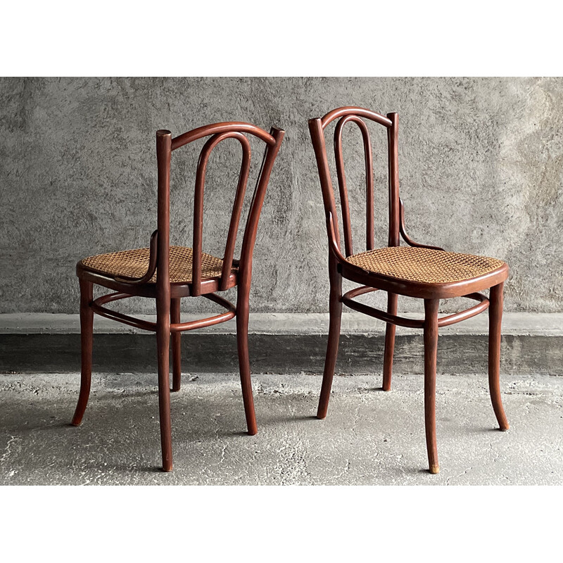 Paire de chaises bistrot vintage en cannage pour Thonet, 1920