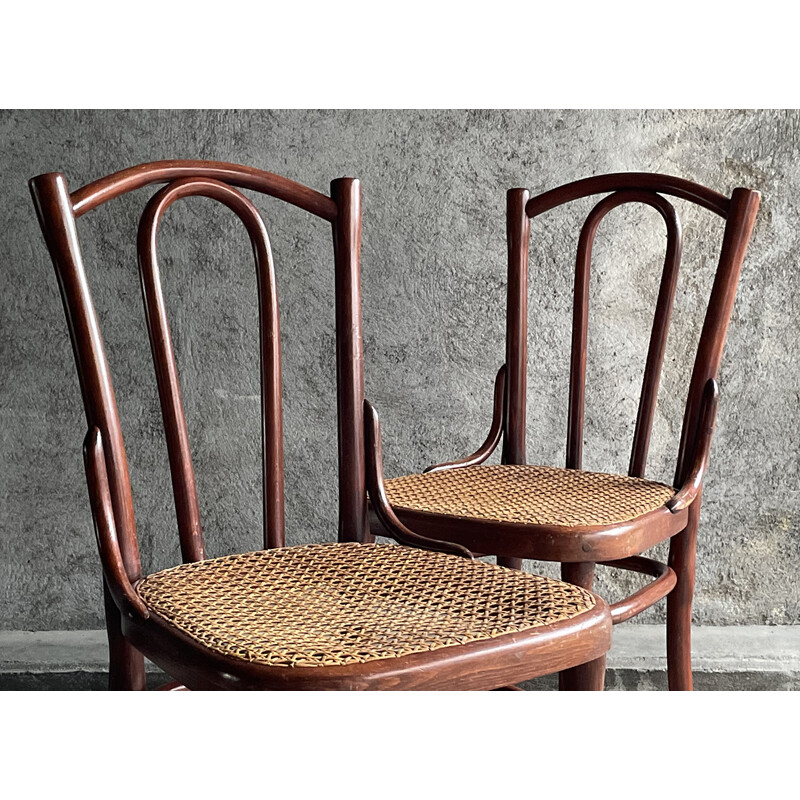 Paire de chaises bistrot vintage en cannage pour Thonet, 1920