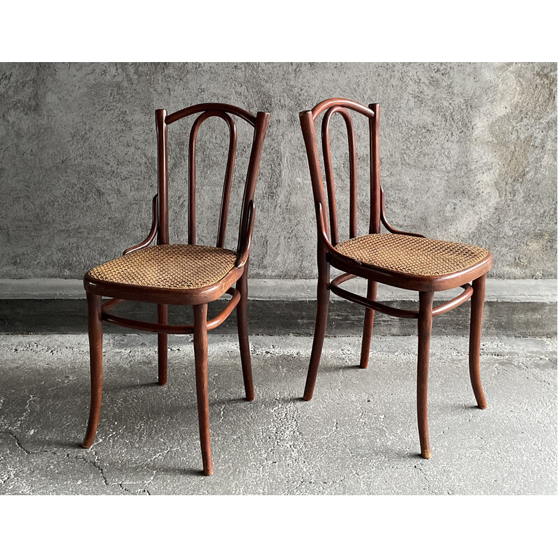 Paire de chaises bistrot vintage en cannage pour Thonet, 1920