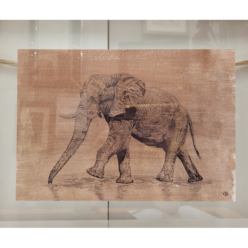 Quadro d'epoca raffigurante un elefante disegnato per Roche Bobois