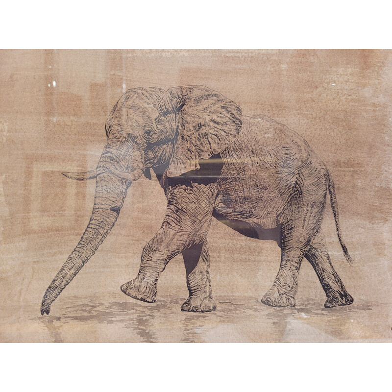 Vintage painting representing an elephant drawing for Roche Bobois