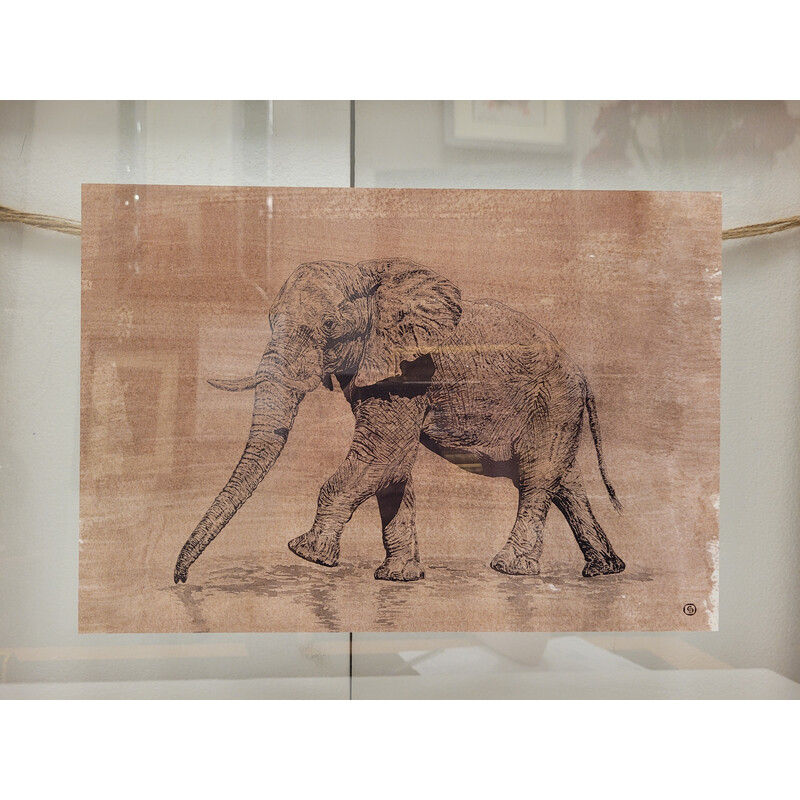Tableau vintage représentant un dessin d'éléphant pour Roche Bobois