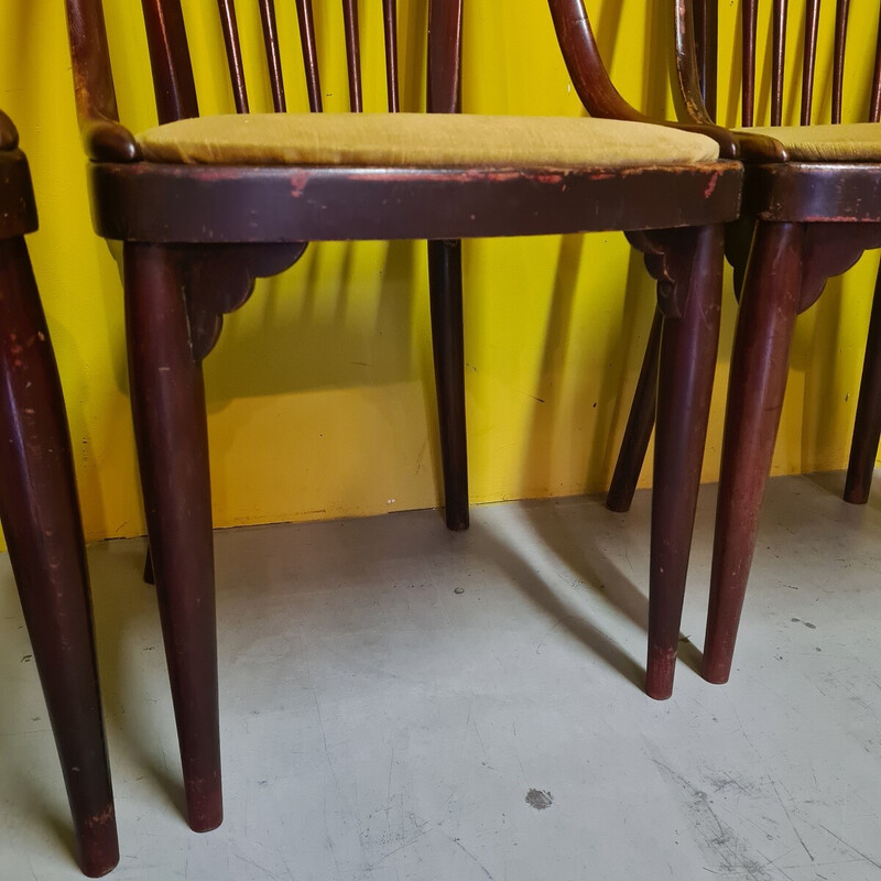 Lot de 4 chaises à repas vintage modèle A846 pour Thonet, Tchecoslovaquie 1922