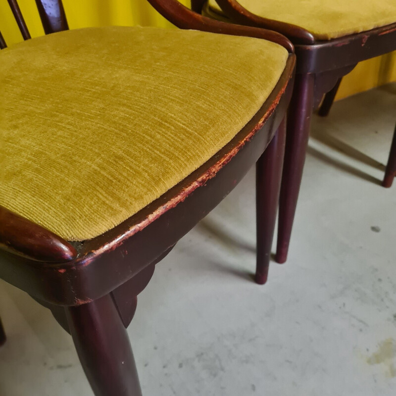 Lot de 4 chaises à repas vintage modèle A846 pour Thonet, Tchecoslovaquie 1922