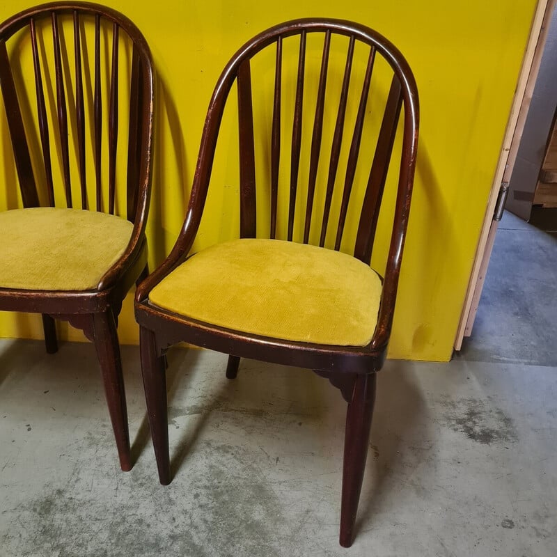 Lot de 4 chaises à repas vintage modèle A846 pour Thonet, Tchecoslovaquie 1922