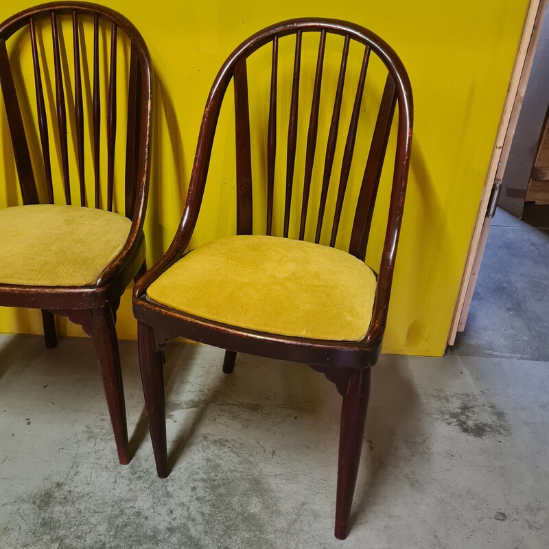 Set of 4 vintage dining chairs model A846 for Thonet, Czechoslovakia 1922