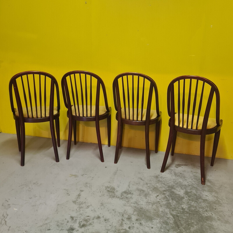 Lot de 4 chaises à repas vintage modèle A846 pour Thonet, Tchecoslovaquie 1922