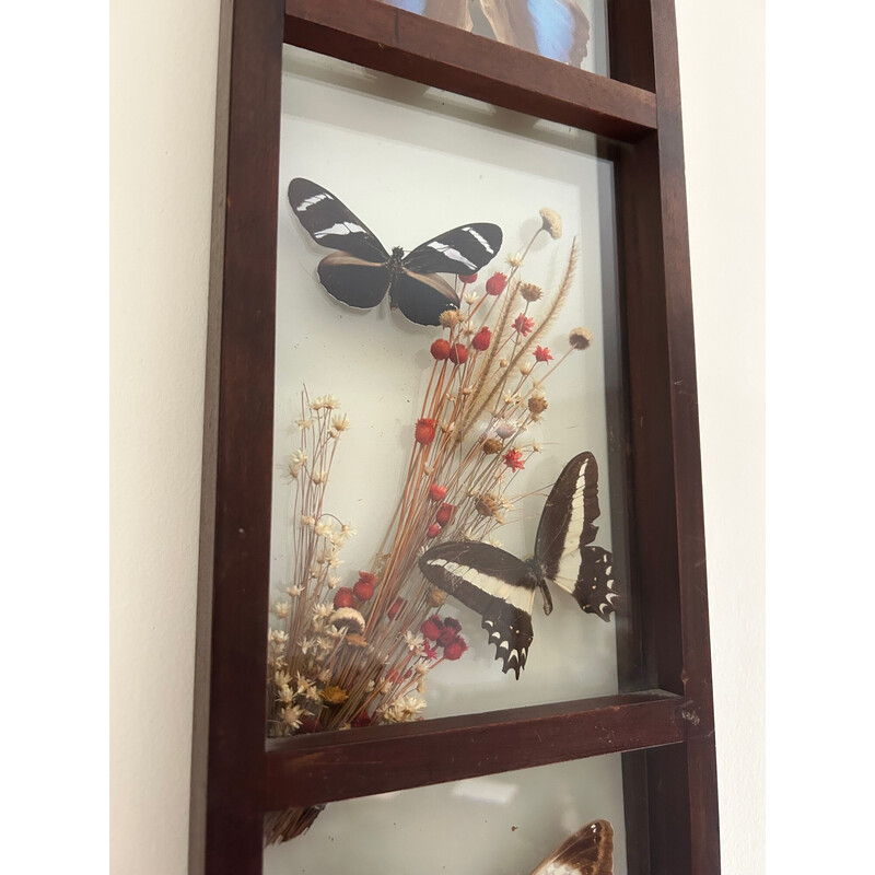 Vintage glazen frame met genaturaliseerde vlinders en bloemen, 1970
