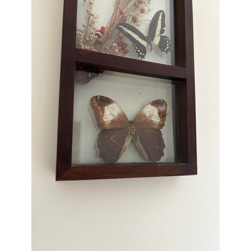 Vintage glass frame with naturalized butterflies and flowers, 1970