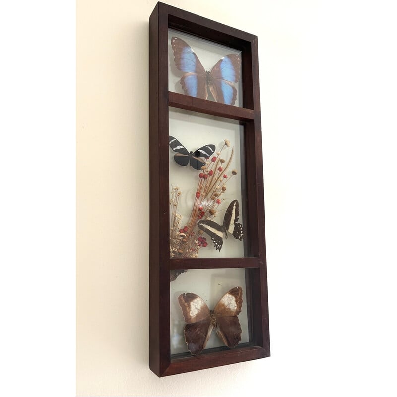 Vintage glass frame with naturalized butterflies and flowers, 1970