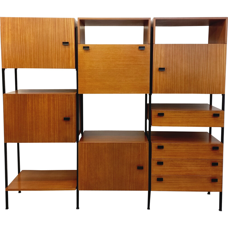 Vintage wall unit in teak and black metal, 1960