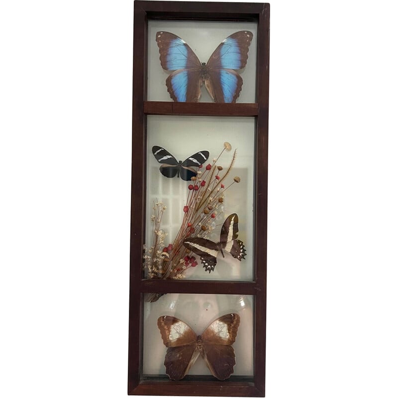Vintage glazen frame met genaturaliseerde vlinders en bloemen, 1970