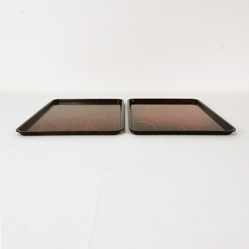 Pair of vintage oak wood and plastic trays for Gerling, Germany 1960