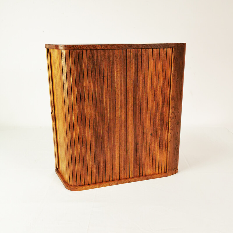 Armário de persianas de madeira de carvalho vintage da Carl Zeiss Jena, Alemanha 1950