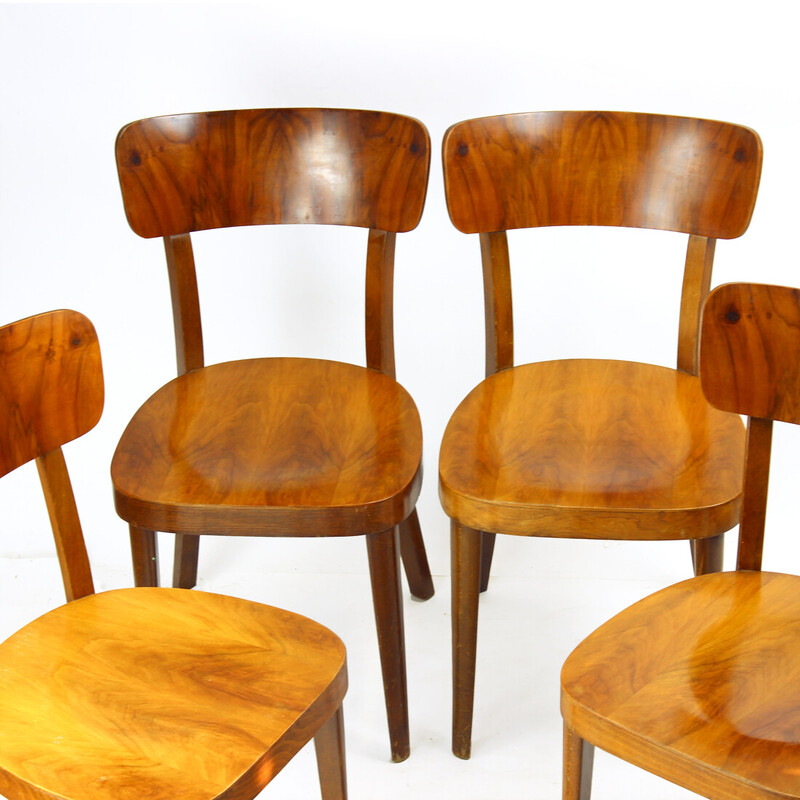 Set of 4 dining chairs in oak and walnut veneer, Czechoslovakia 1950
