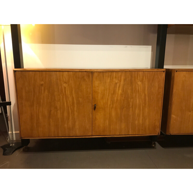 Brazilian wall unit in rosewood - 1950s