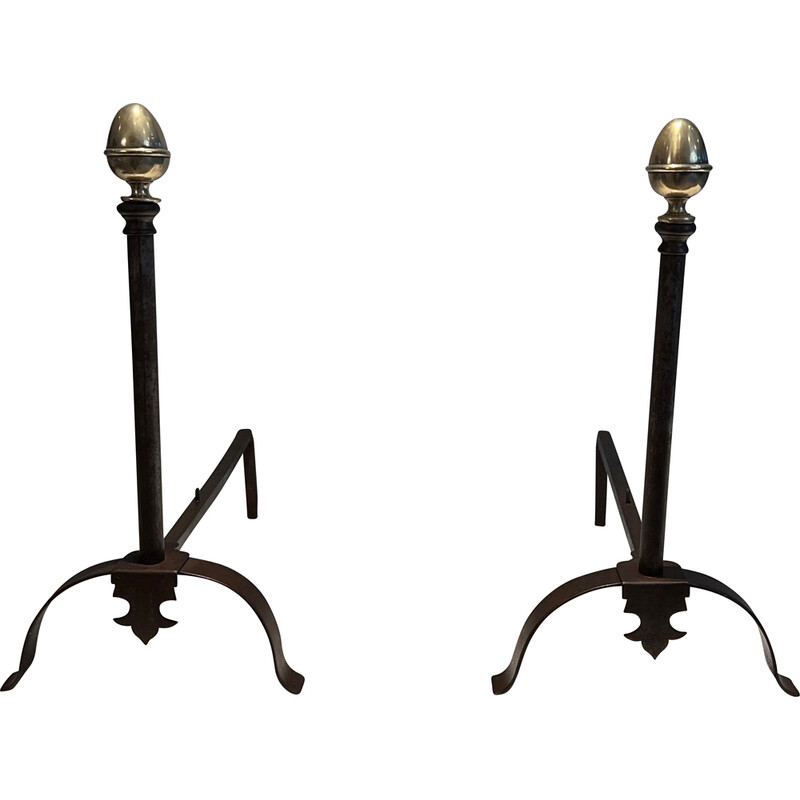 Pair of vintage andirons in wrought iron and brass, France