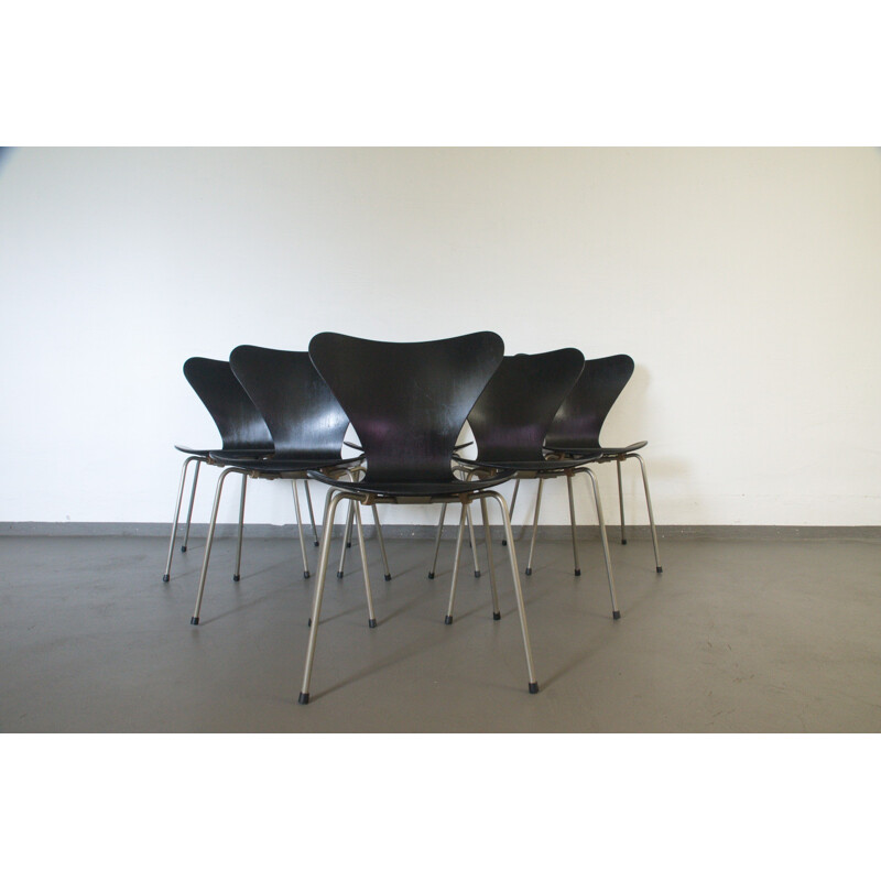 Ensemble de 6 chaises noires en contreplaqué, modèle 3107, d'Arne Jacobsen - 1950