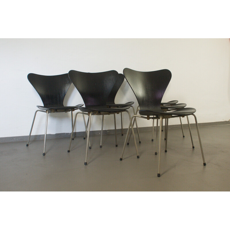 Set of 6 plywood black chairs, Model 3107 by Arne Jacobsen - 1950s