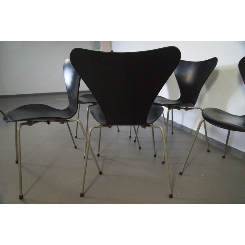 Set of 6 plywood black chairs, Model 3107 by Arne Jacobsen - 1950s