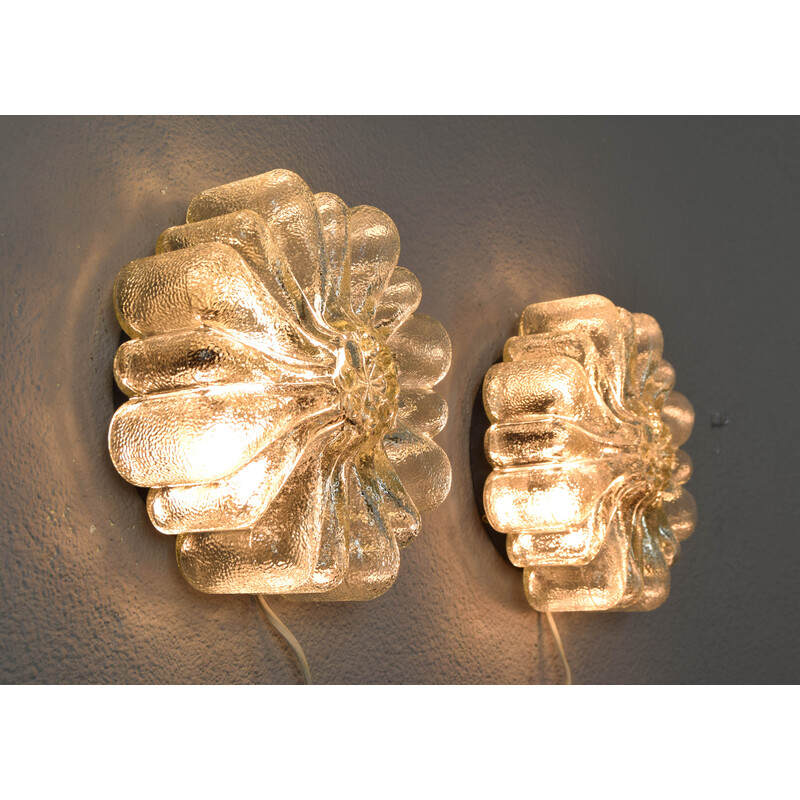 Pair of vintage transparent glass wall lights in the shape of flowers, Germany 1950