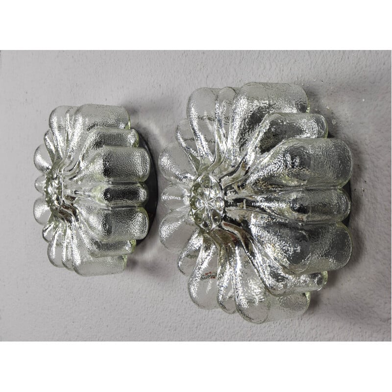 Pair of vintage transparent glass wall lights in the shape of flowers, Germany 1950