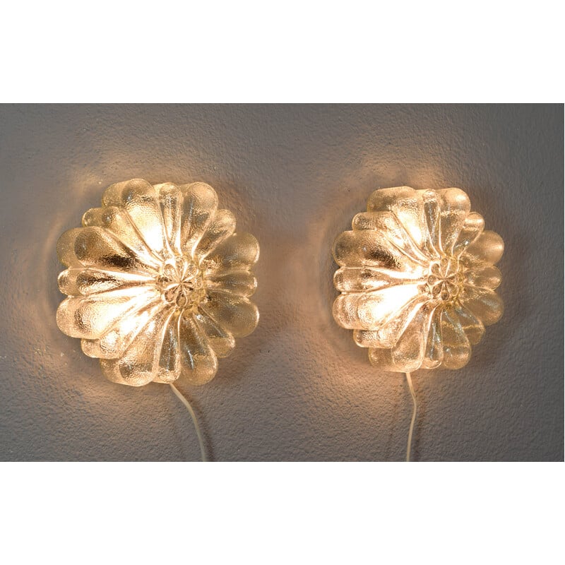 Pair of vintage transparent glass wall lights in the shape of flowers, Germany 1950