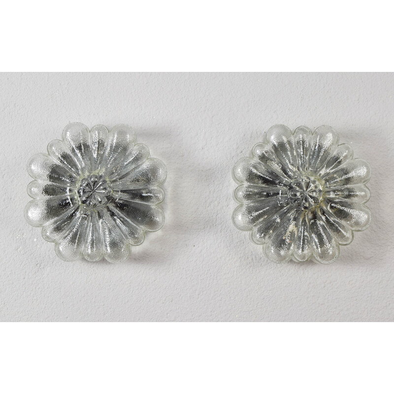 Pair of vintage transparent glass wall lights in the shape of flowers, Germany 1950