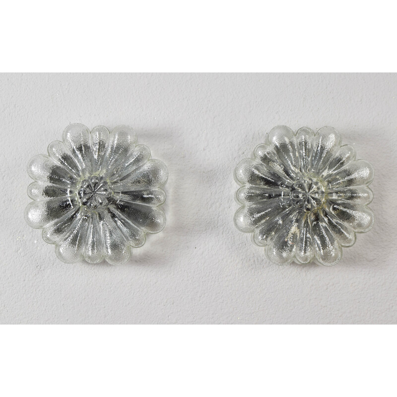 Paire d'appliques vintage en verre transparent en forme de fleurs, Allemagne 1950