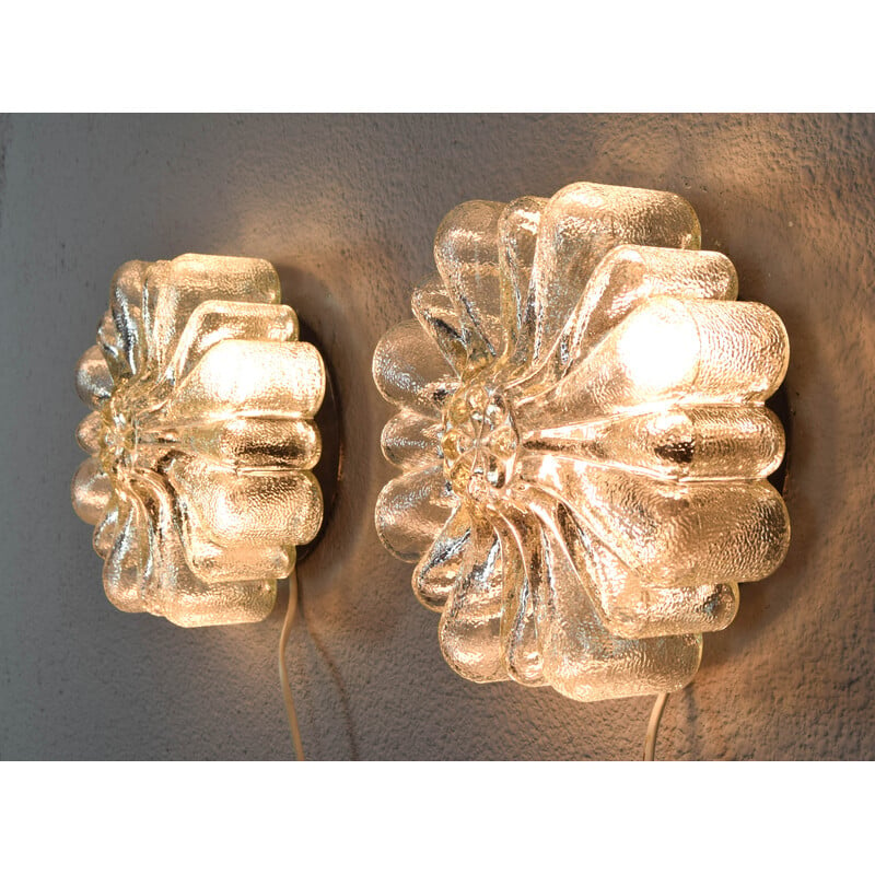 Pair of vintage transparent glass wall lights in the shape of flowers, Germany 1950