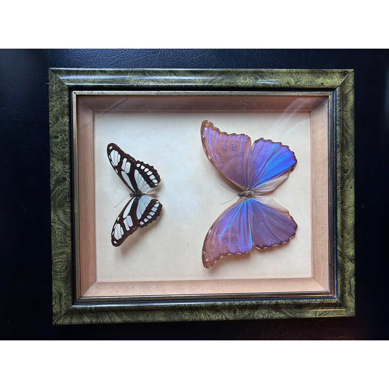 Vintage frame with 2 butterflies